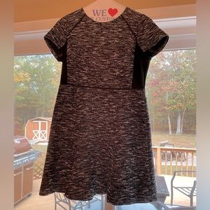 J Crew Black and Gray Textured Dress with Panels Size 12